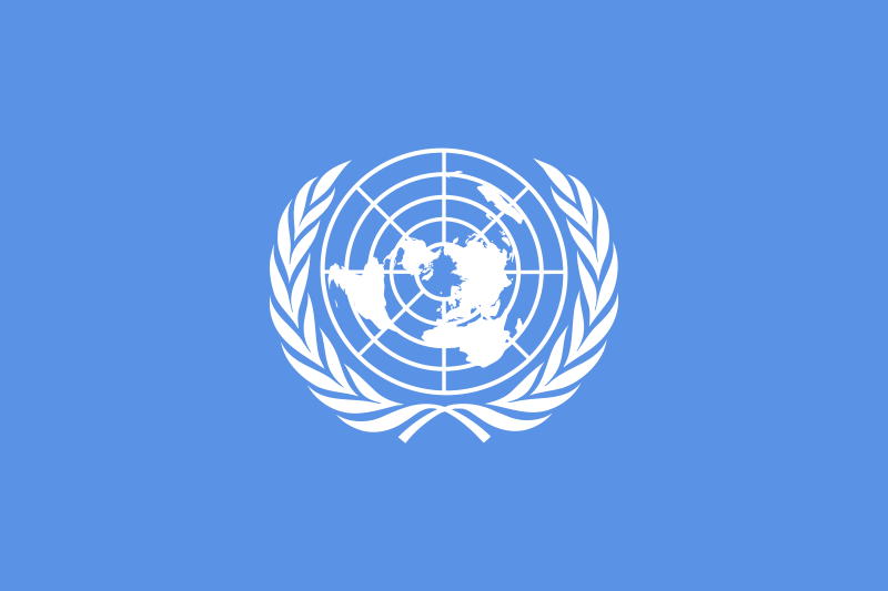 Organisation des Nations unies