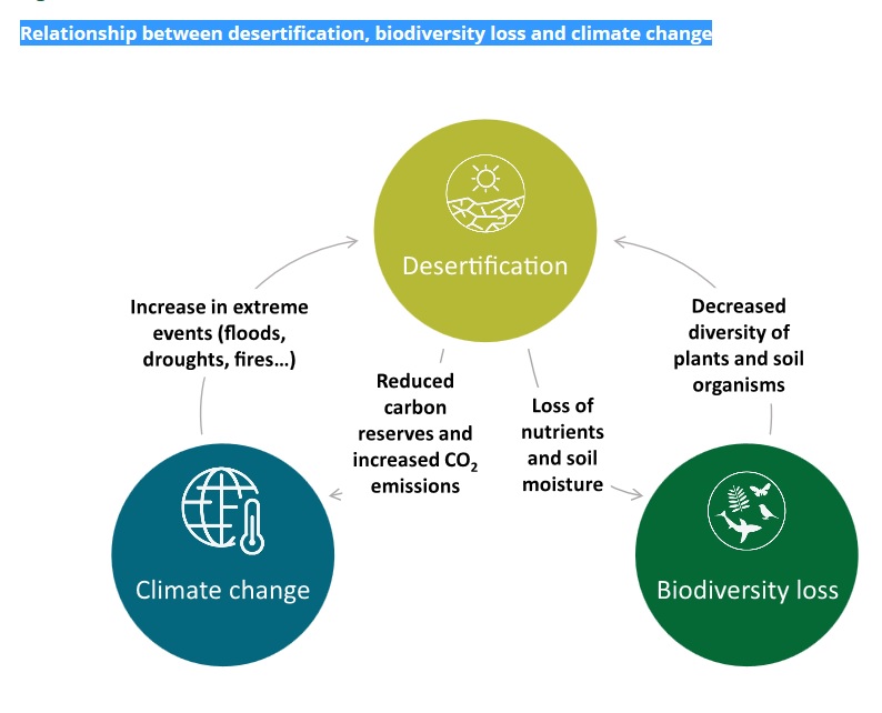 Relationship between desertification, biodiversity loss and climate change